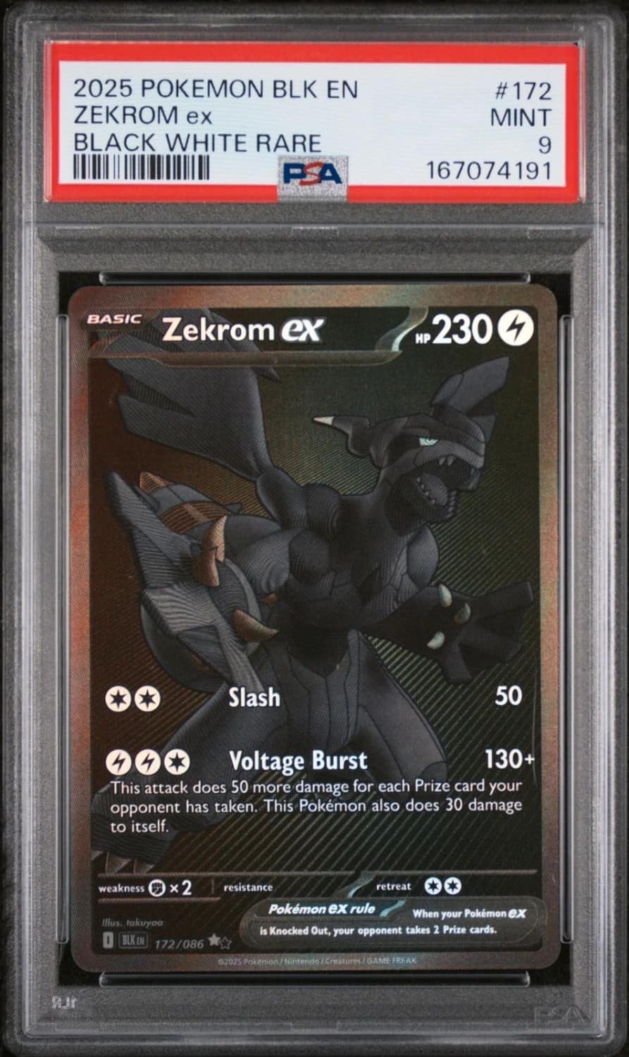 Zekrom Ex