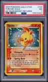 Torchic