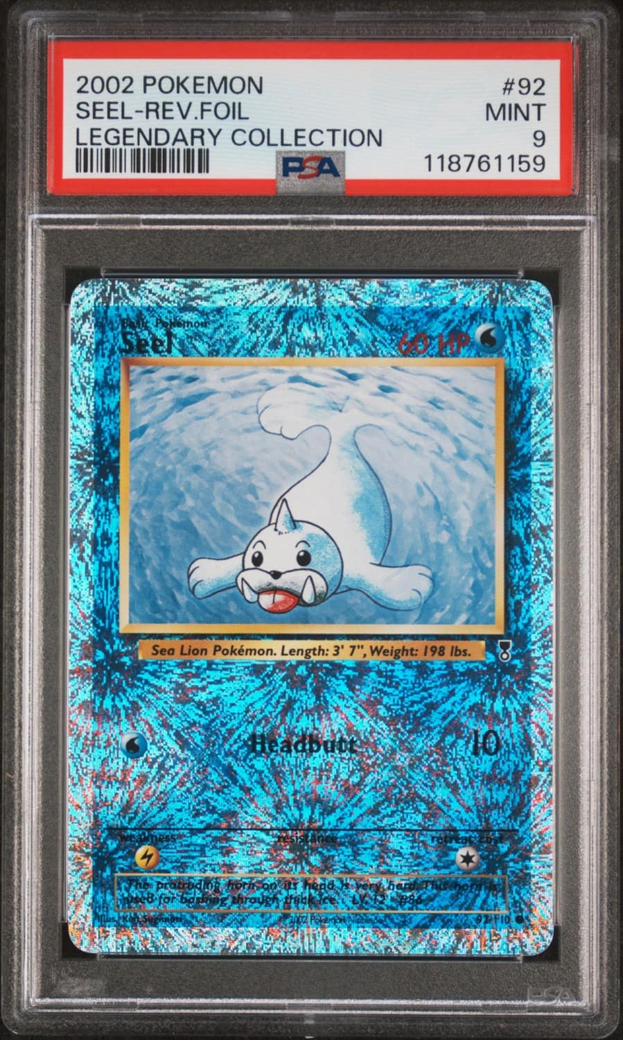 Seel