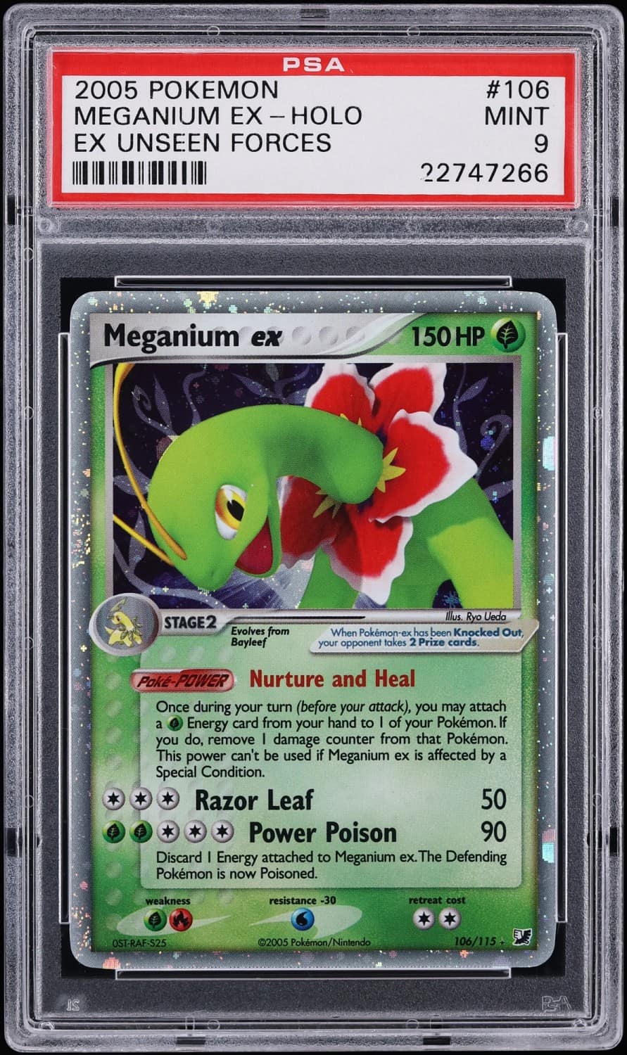 Meganium Ex