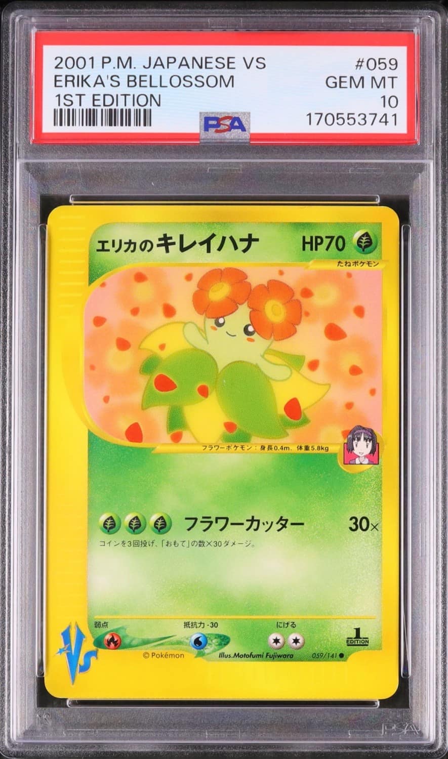 Erika'S Bellossom