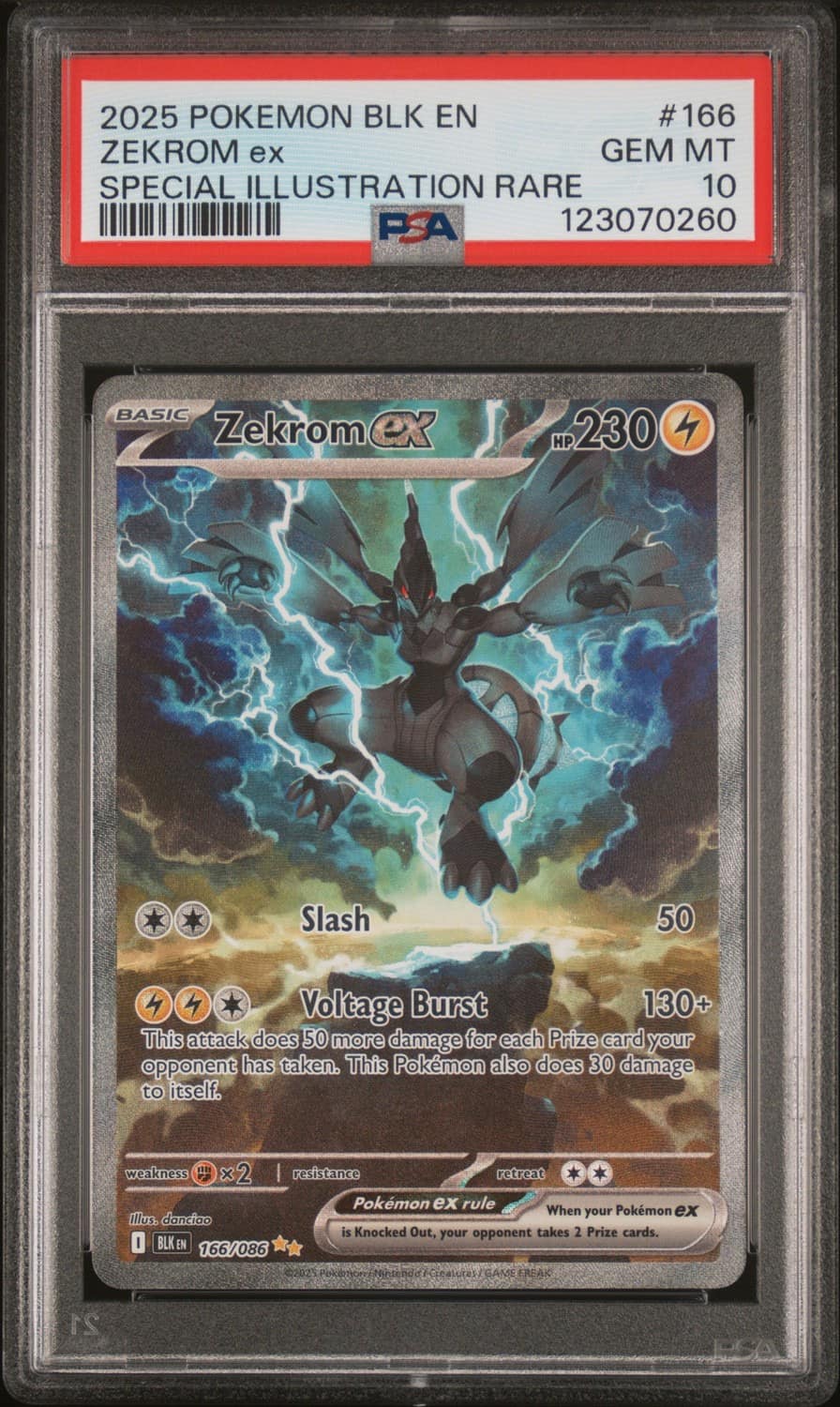 Zekrom Ex