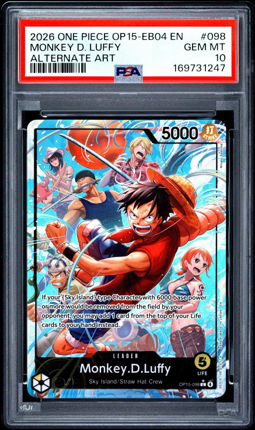 Monkey D. Luffy