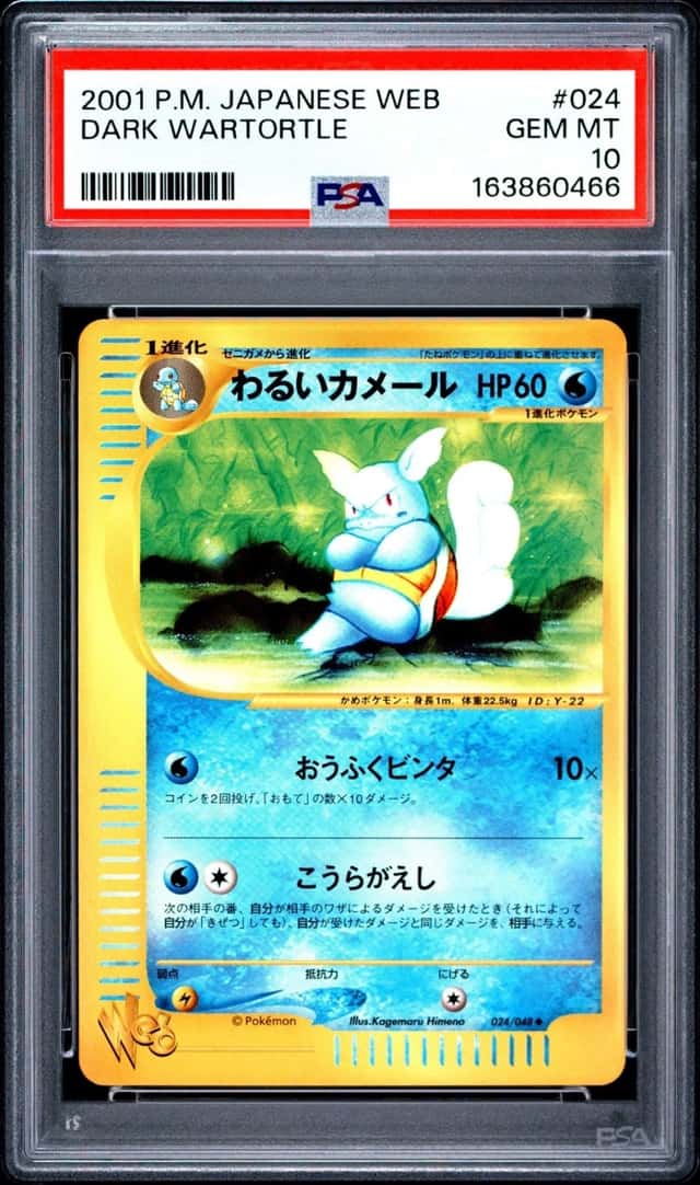 Dark Wartortle