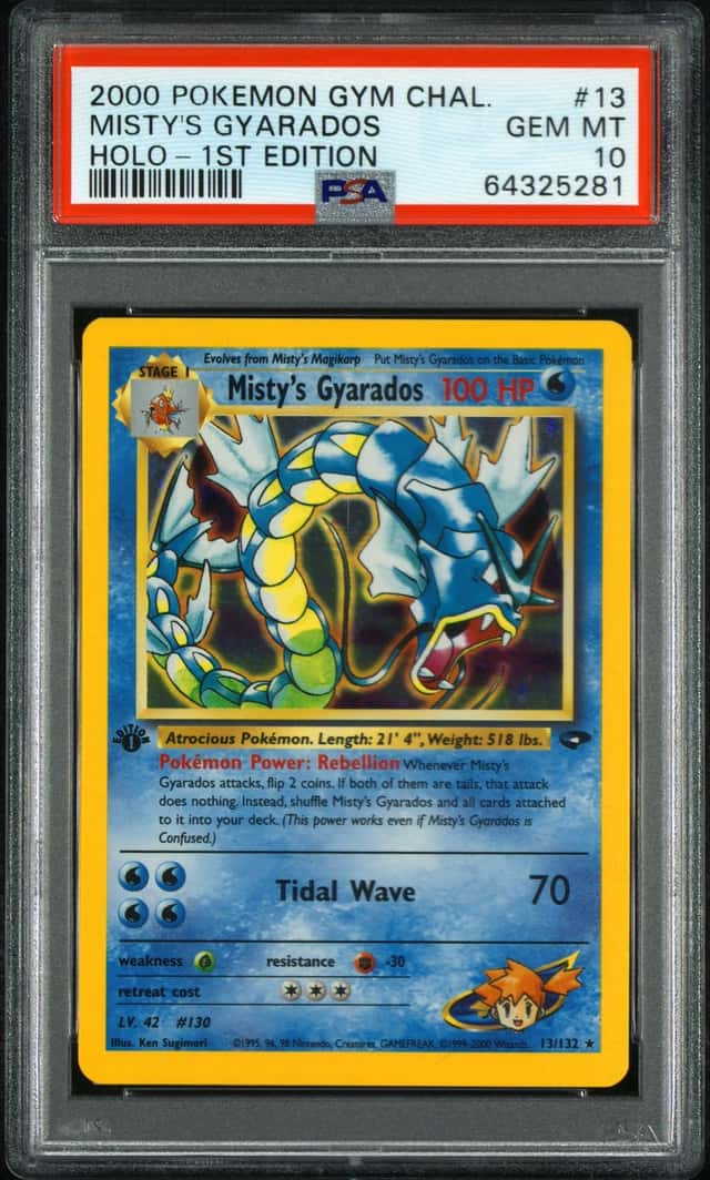 Misty's Gyarados