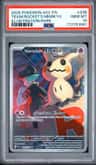 Team Rocket'S Mimikyu
