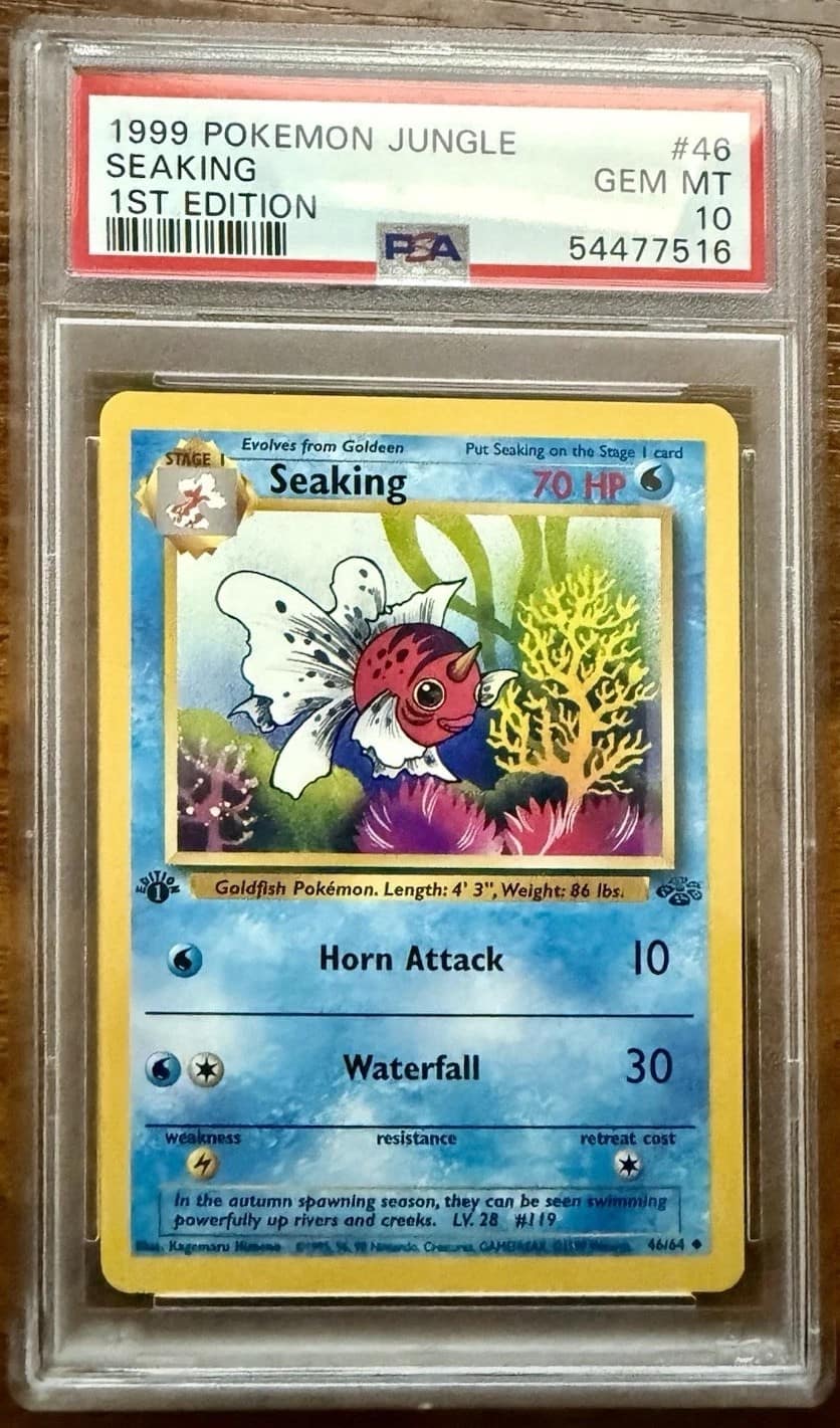 Seaking