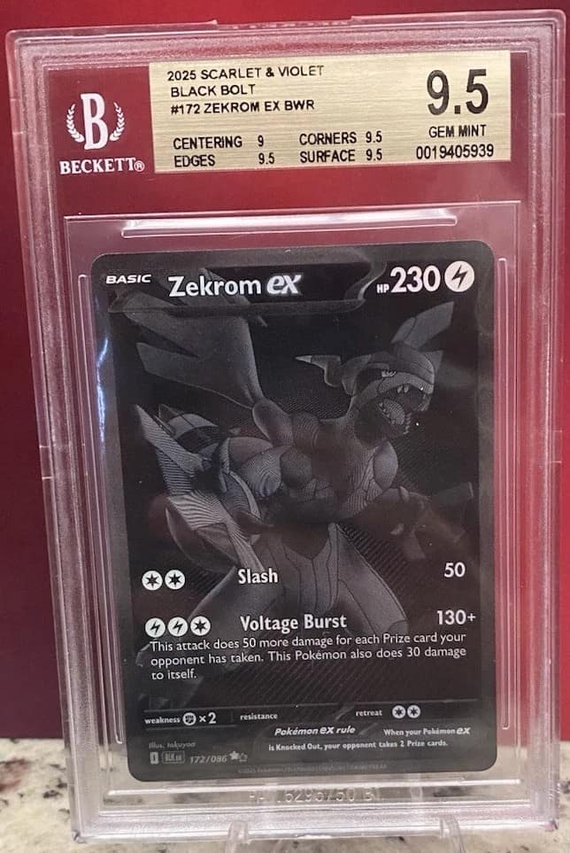 Zekrom Ex