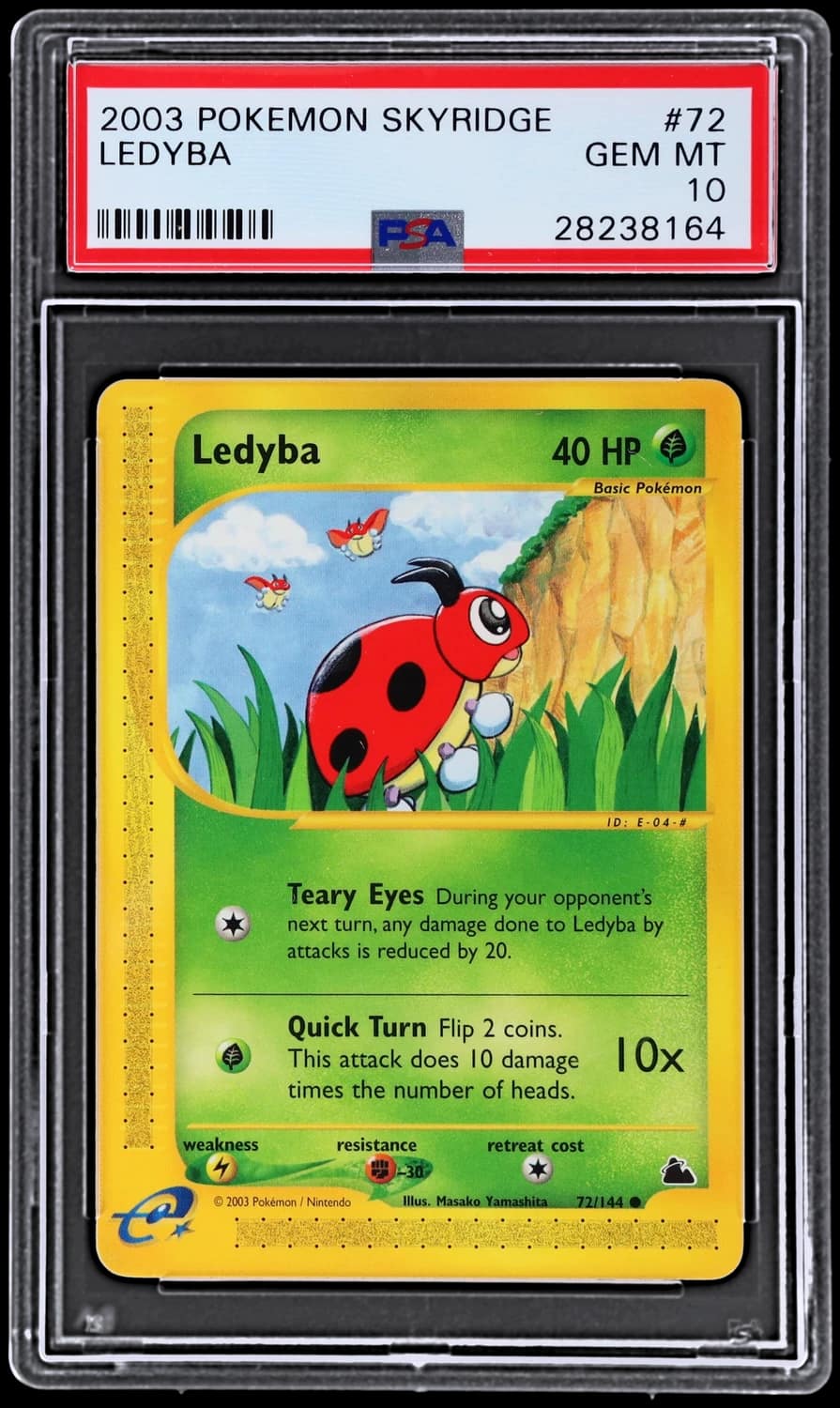 Ledyba