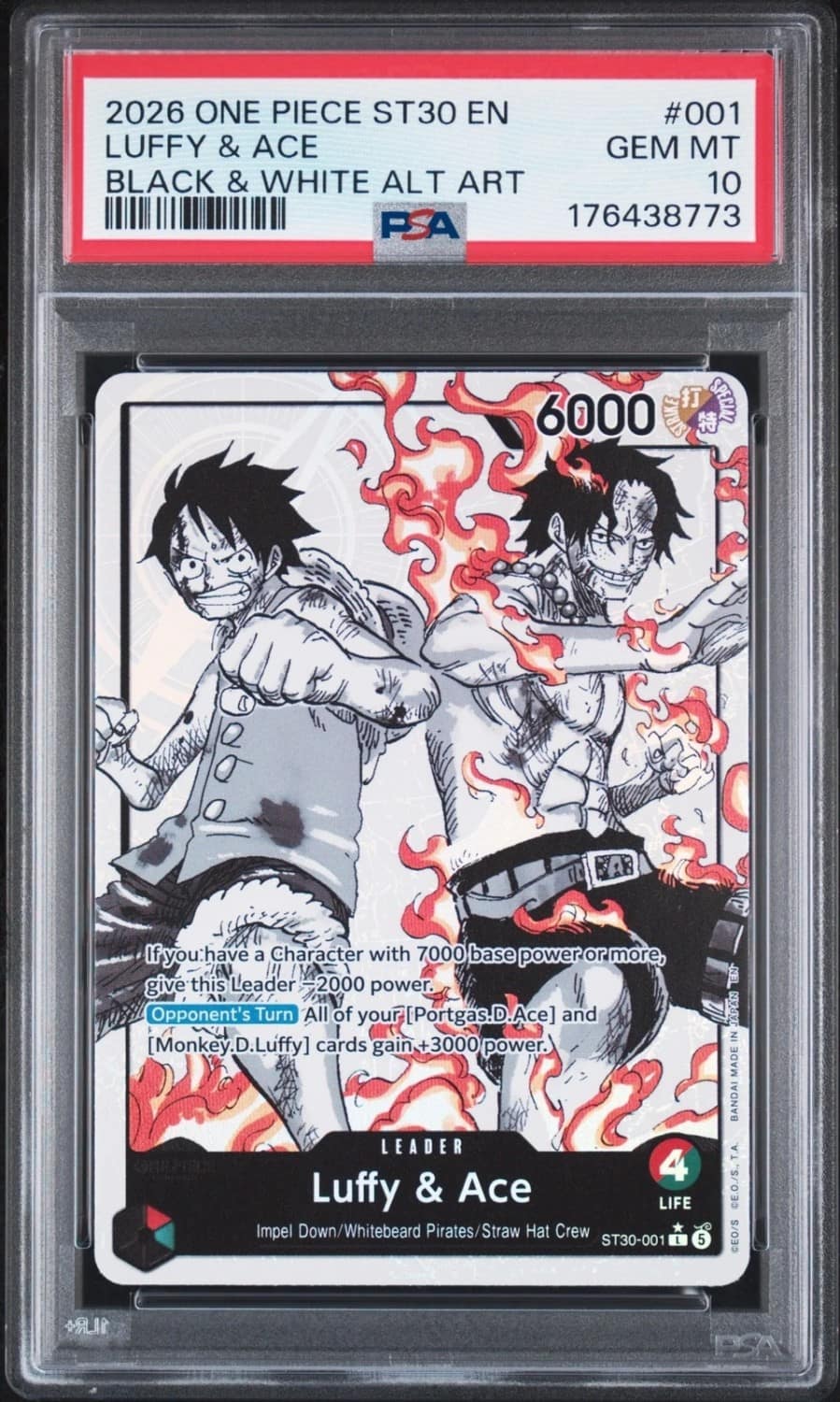 Luffy & Ace