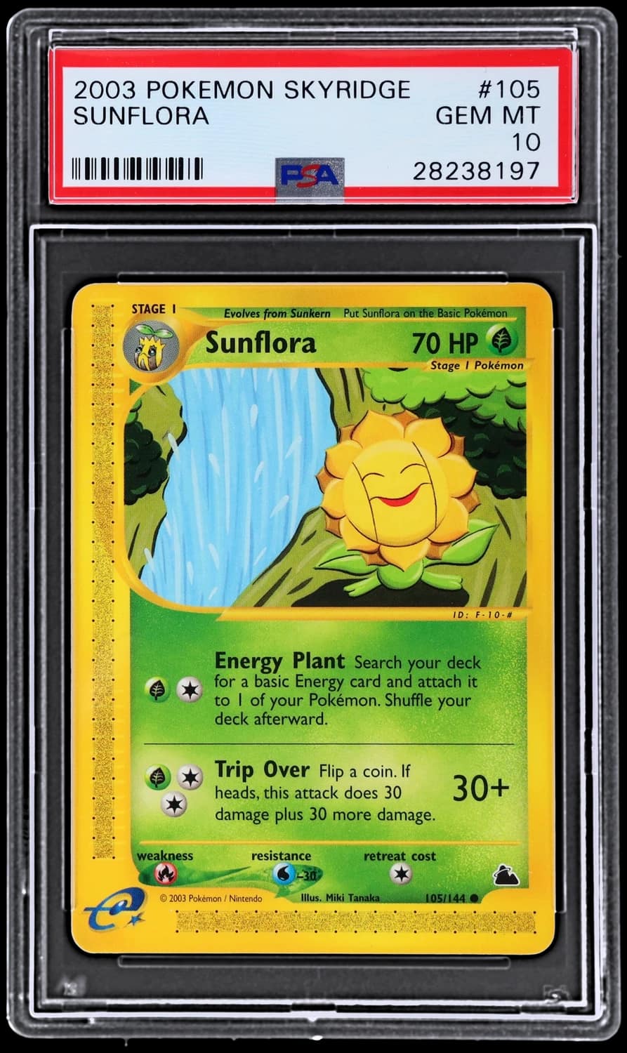 Sunflora
