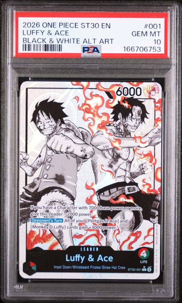 Luffy & Ace
