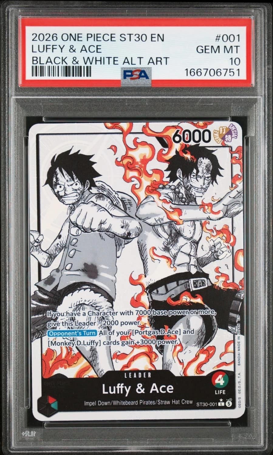 Luffy & Ace