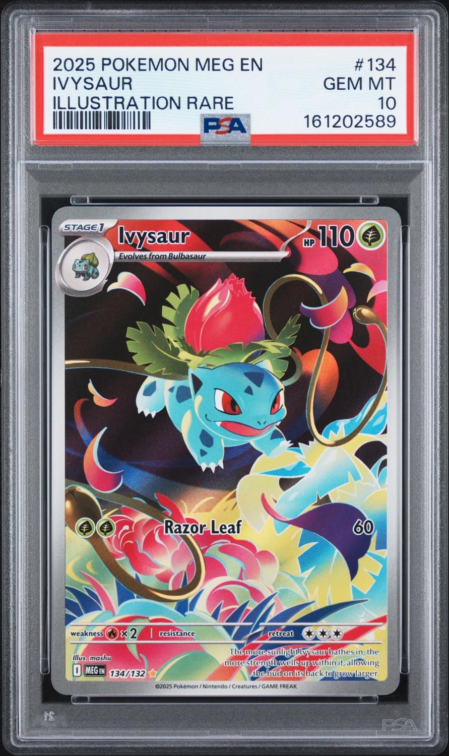 Ivysaur