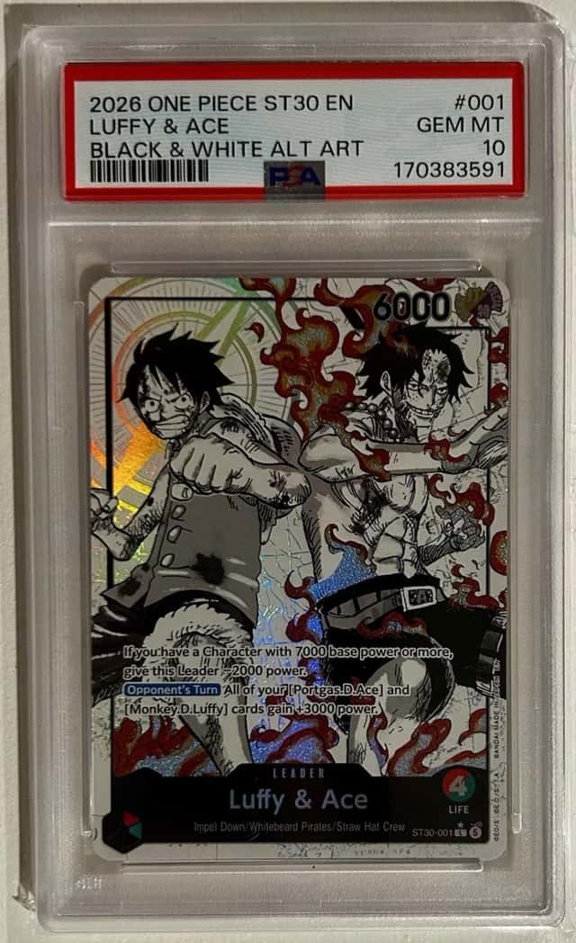Luffy & Ace