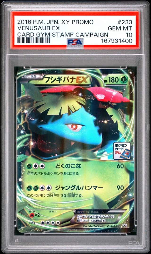 Venusaur EX