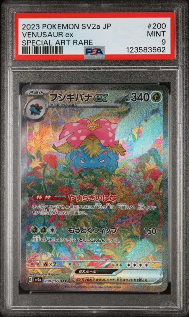 VENUSAUR ex