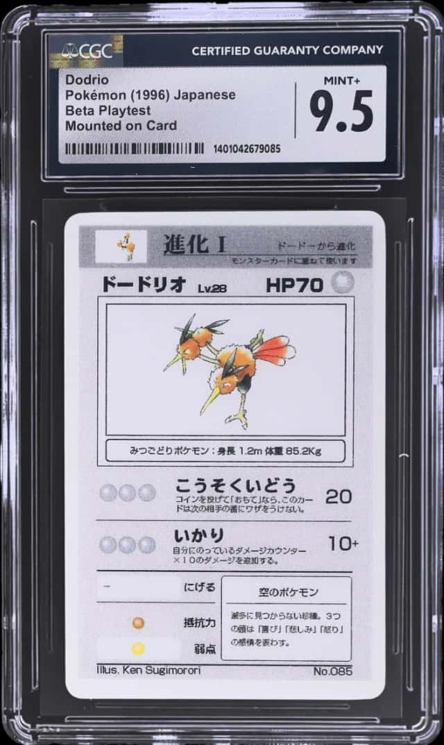 Dodrio