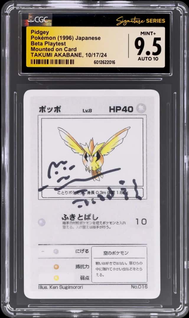 Pidgey