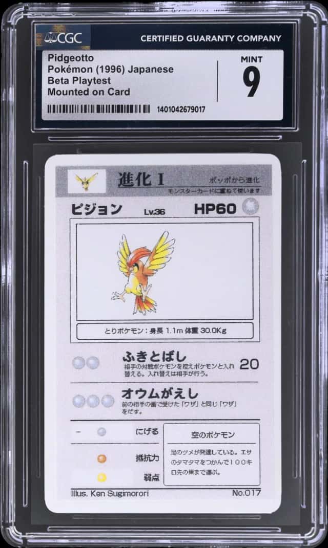 Pidgeotto