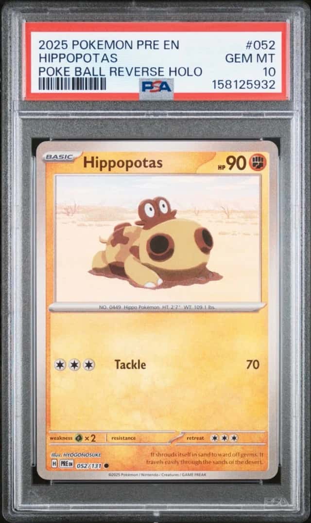 Hippopotas