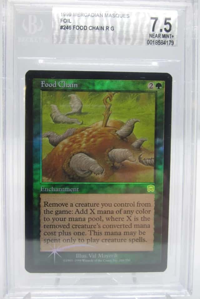 Food Chain
