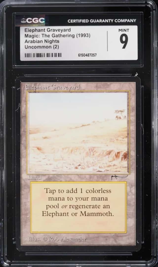 Elephant Graveyard