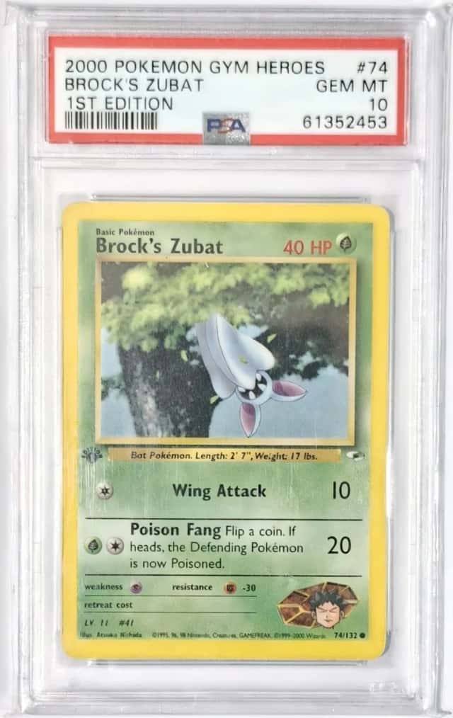 Brock's Zubat