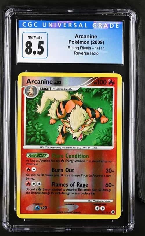 Arcanine