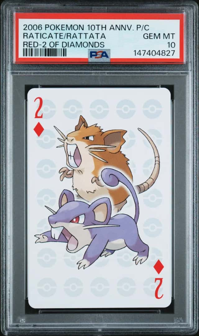 Raticate/Rattata