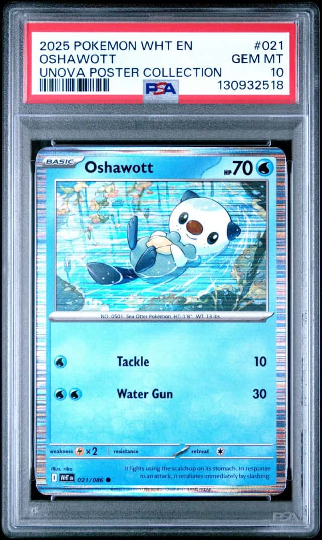 Oshawott