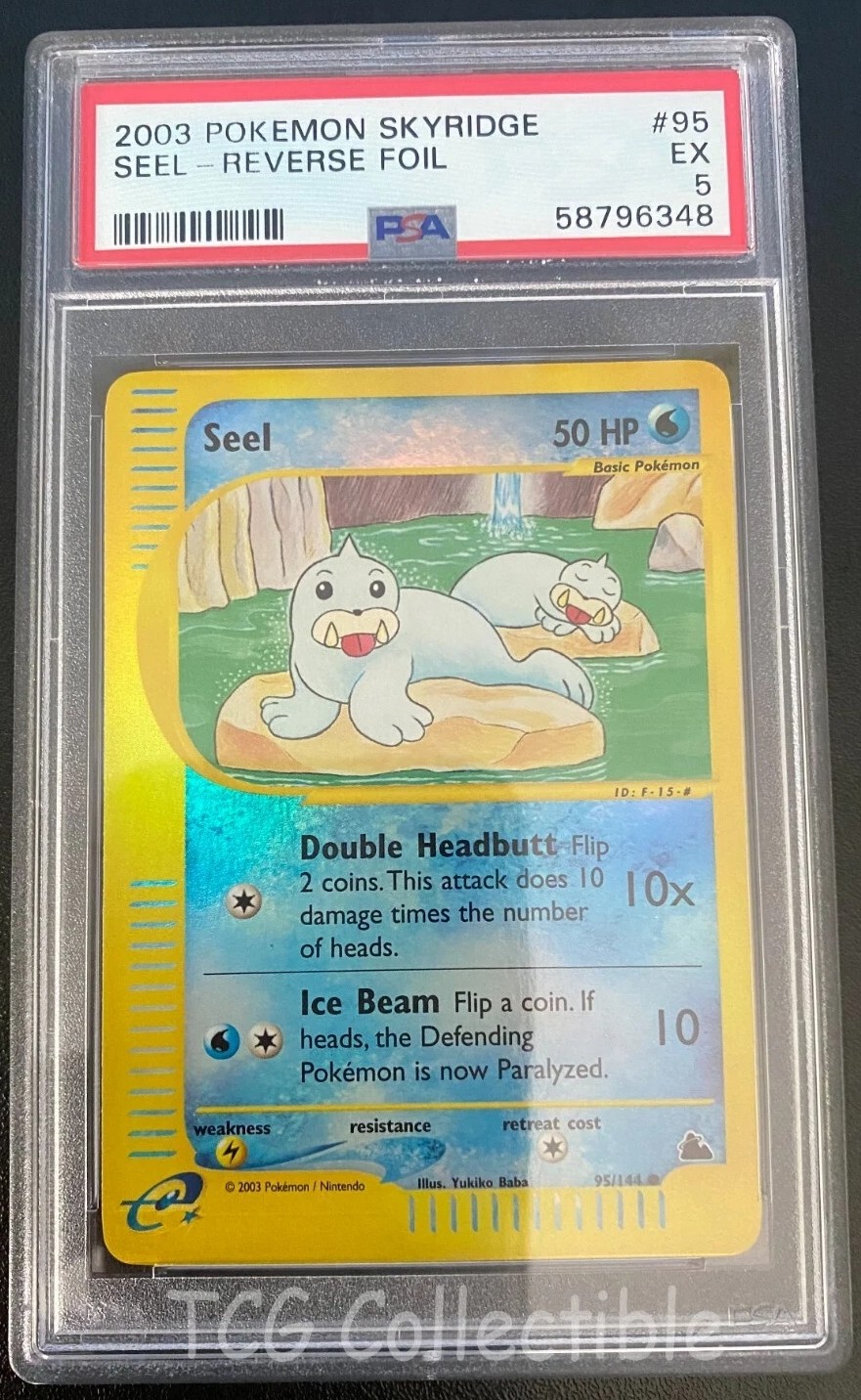 Seel