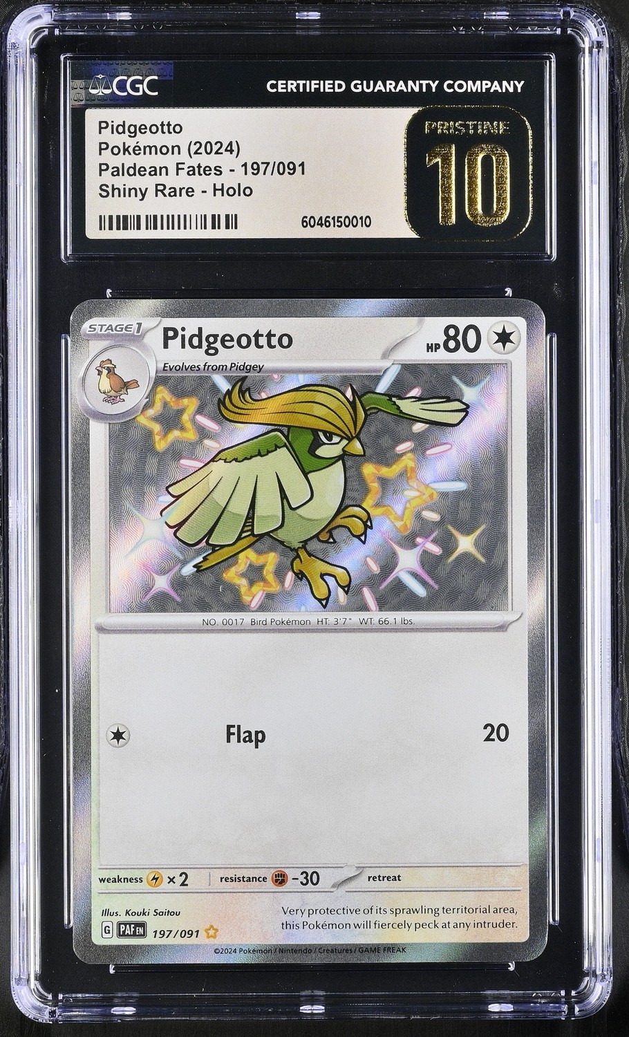 Pidgeotto