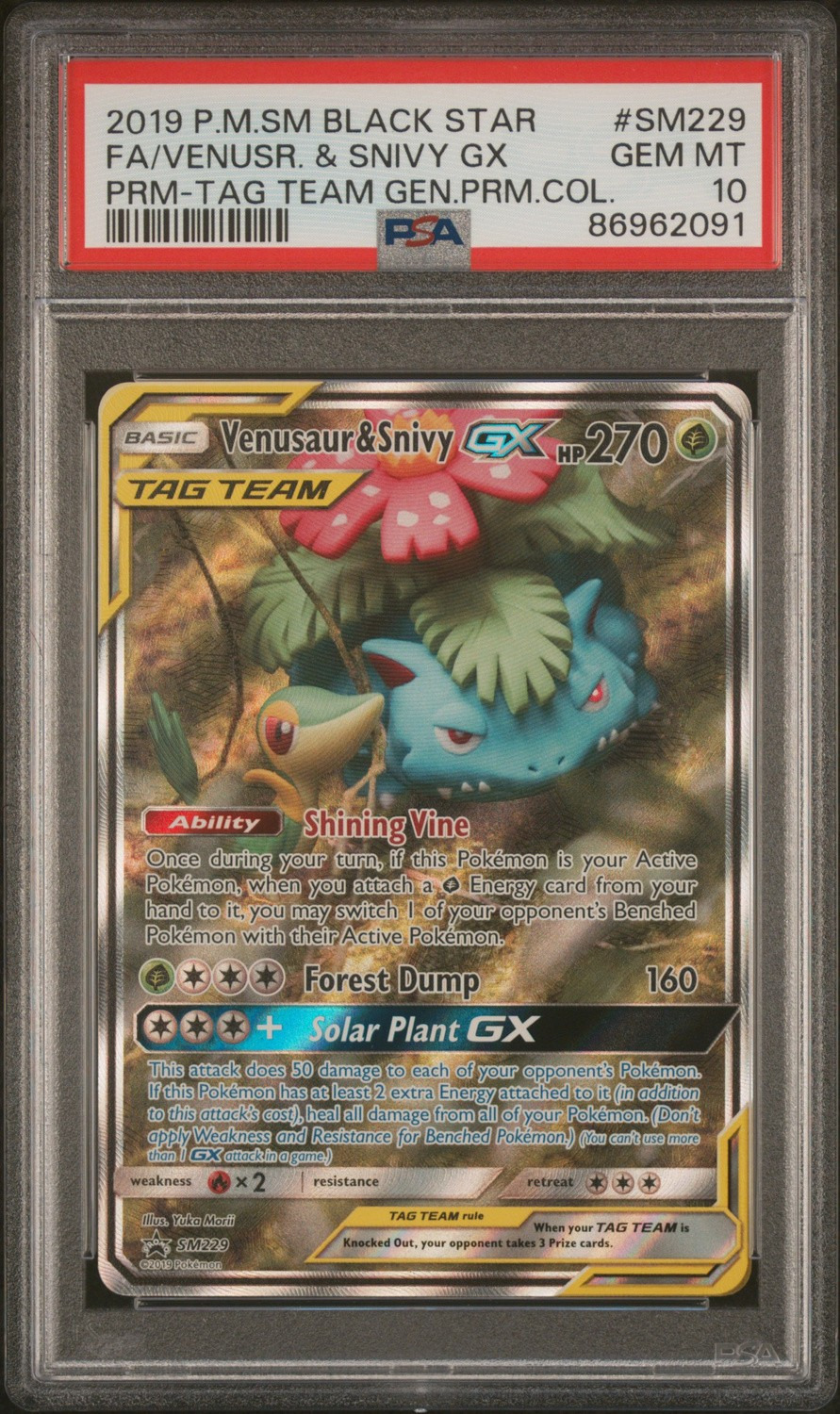 Venusaur & Snivy GX