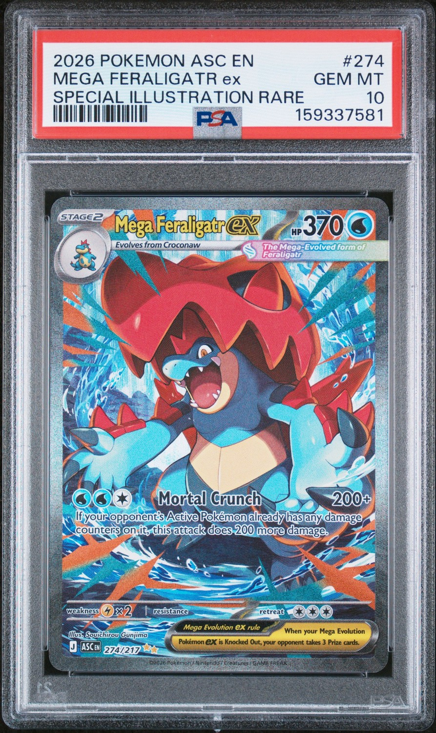 MEGA FERALIGATR ex