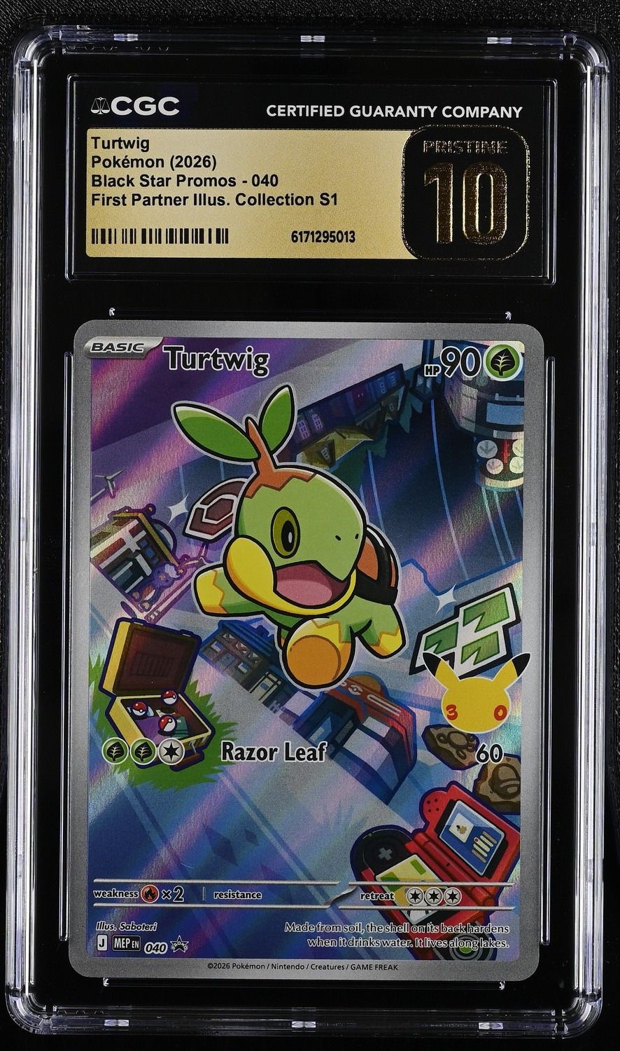 Turtwig