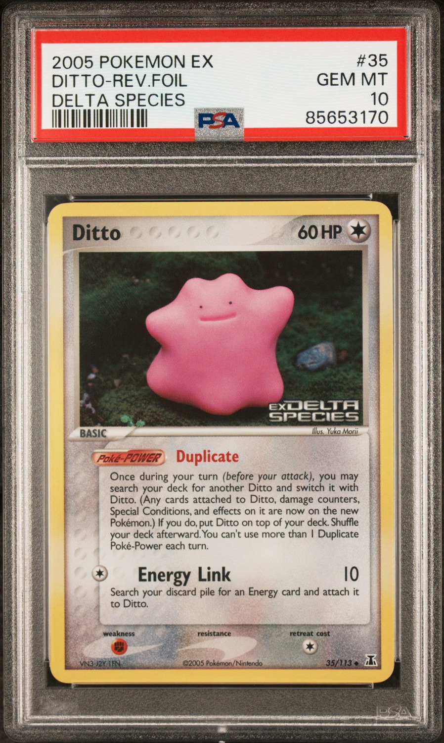 Ditto