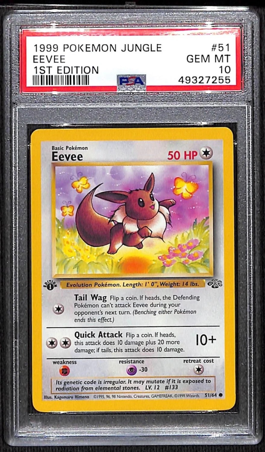 Eevee