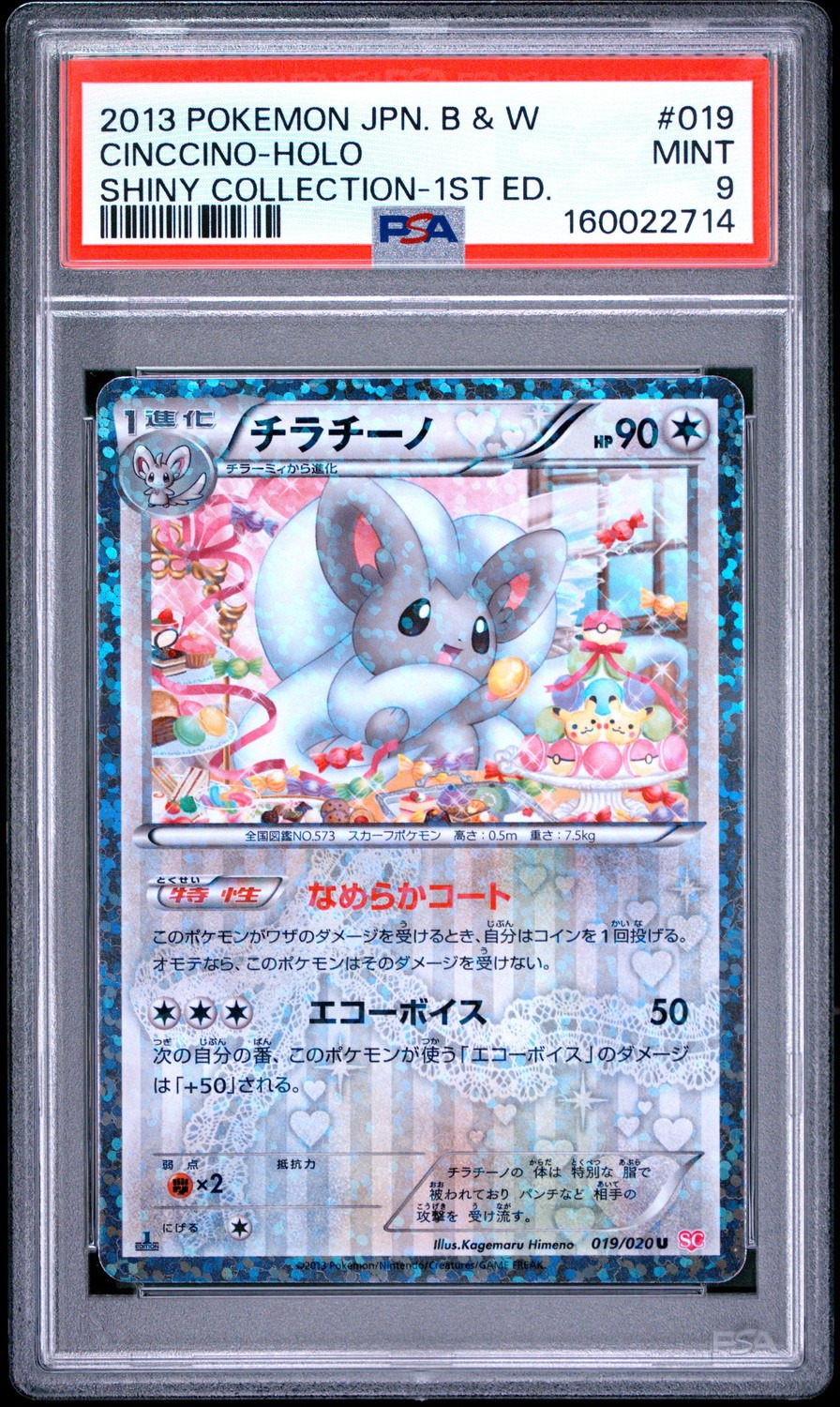Cinccino