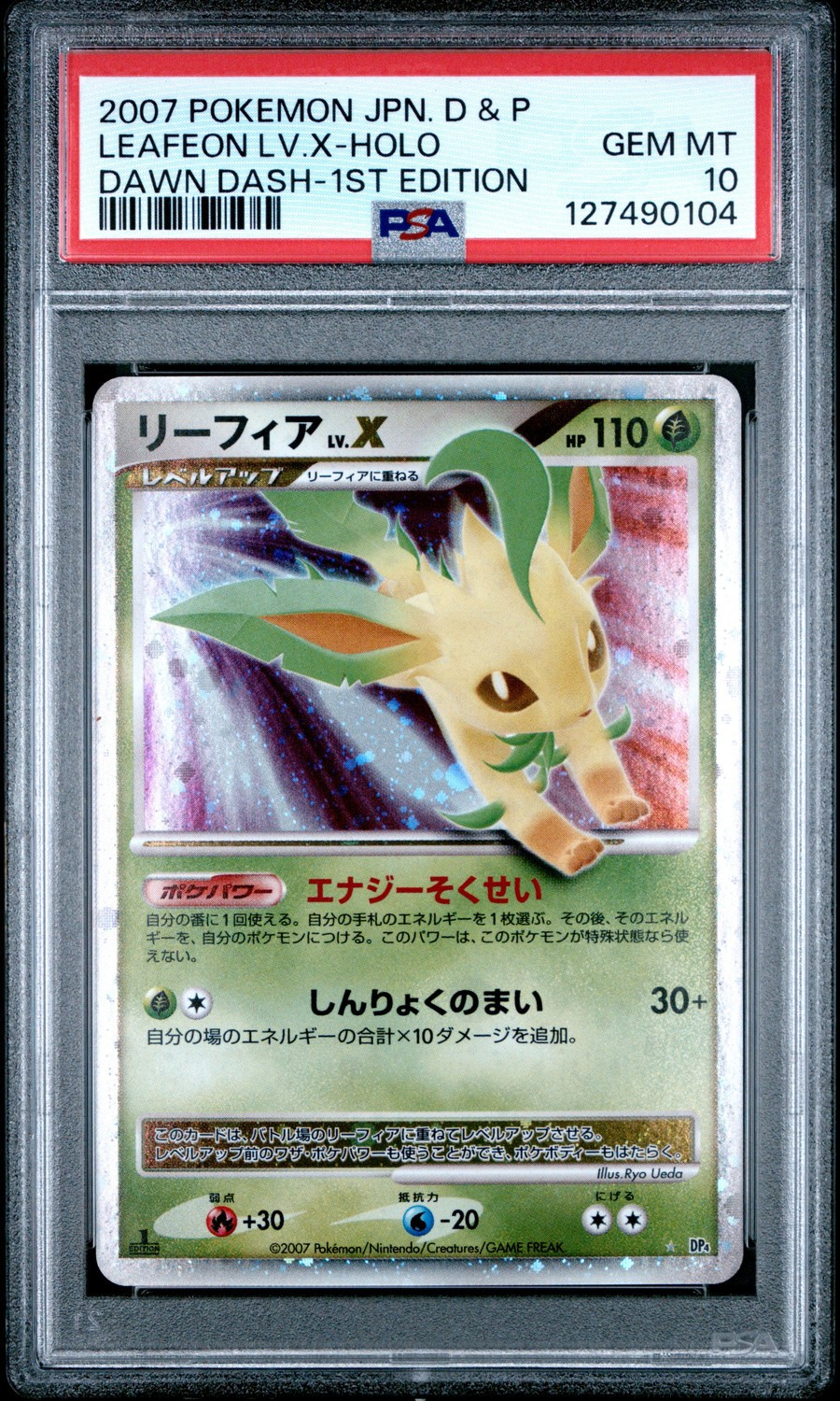 Leafeon Lv X