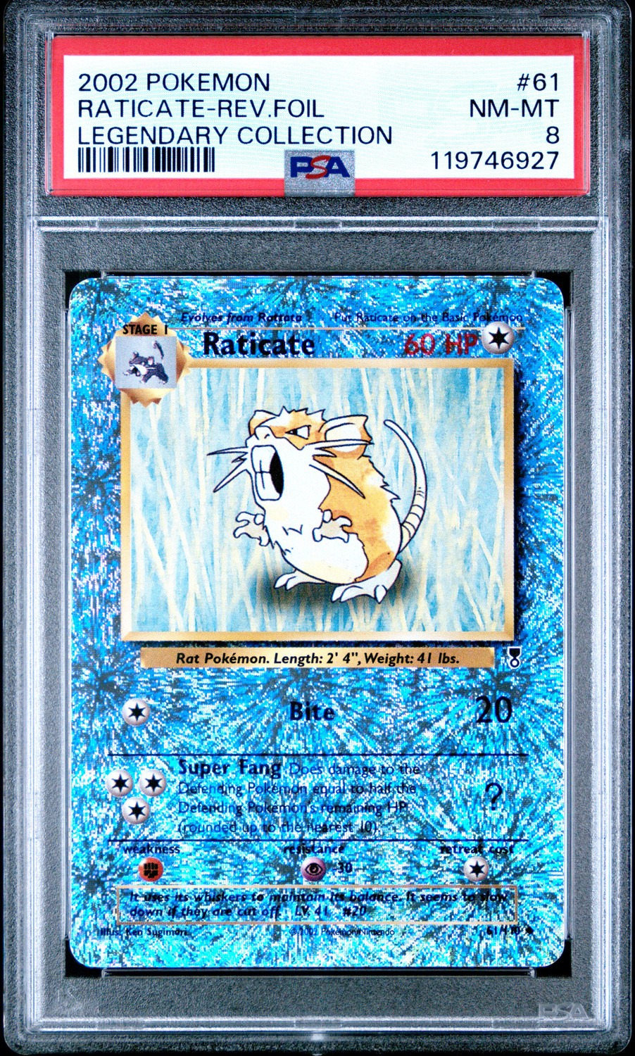 Raticate U