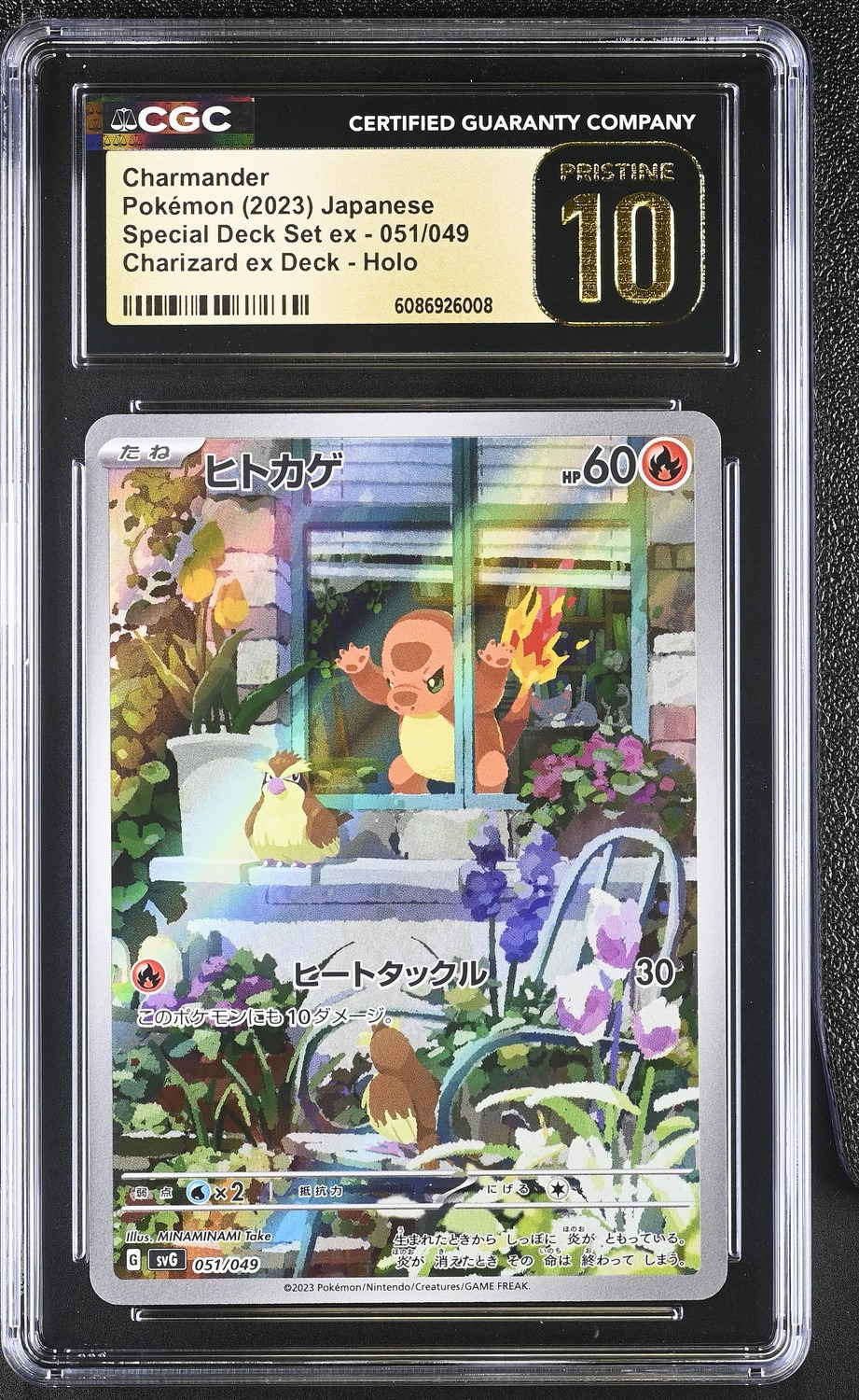 CHARMANDER