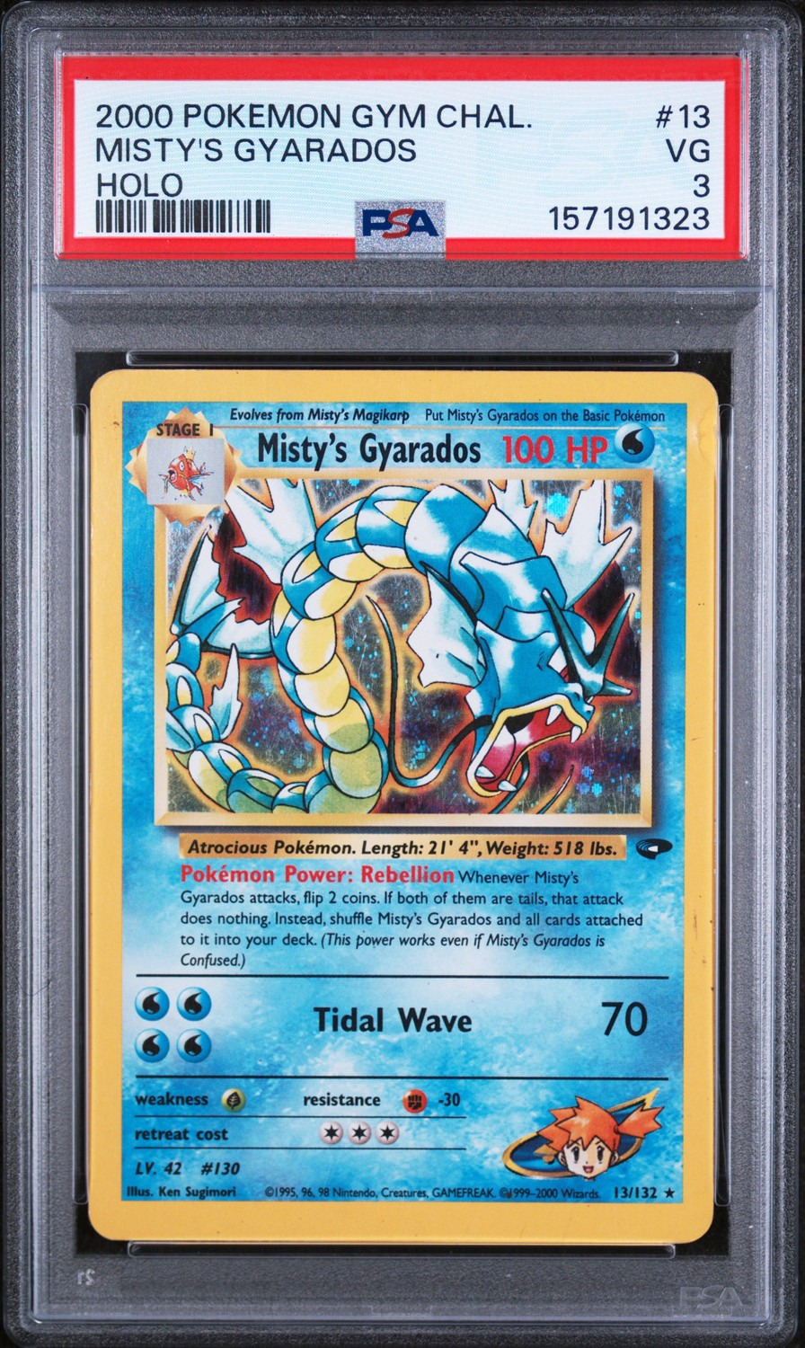Misty's Gyarados