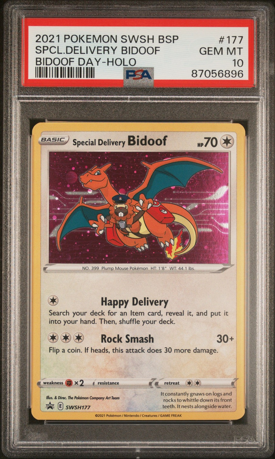 Special Delivery Bidoof