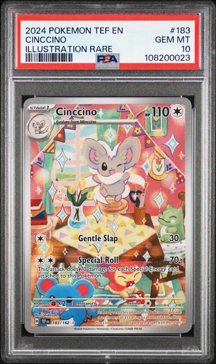 Cinccino