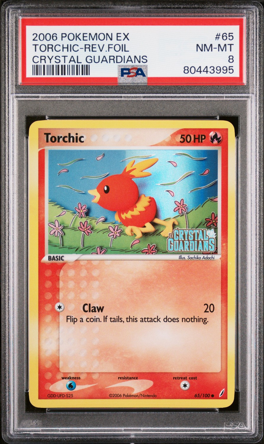 Torchic C