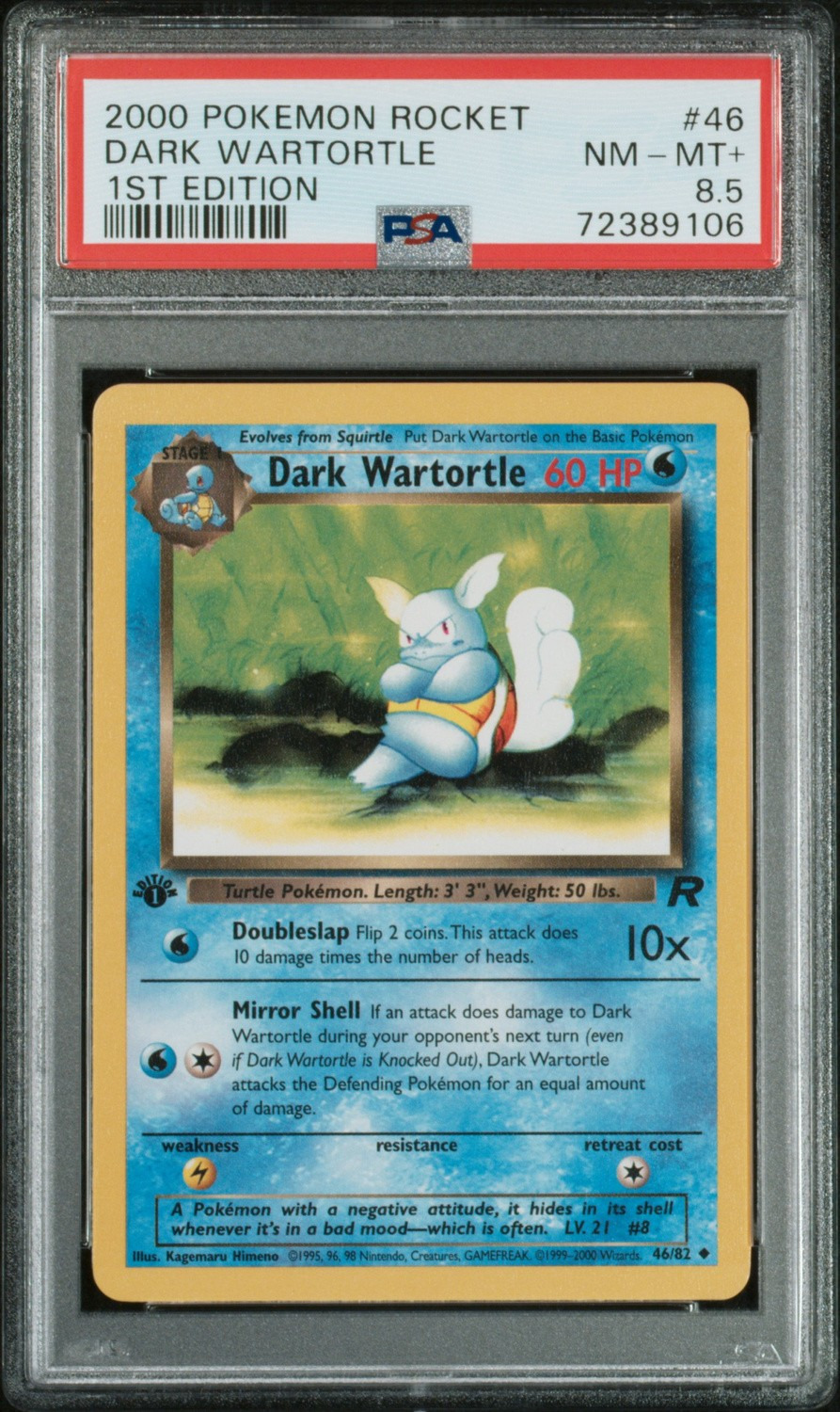 Dark Wartortle