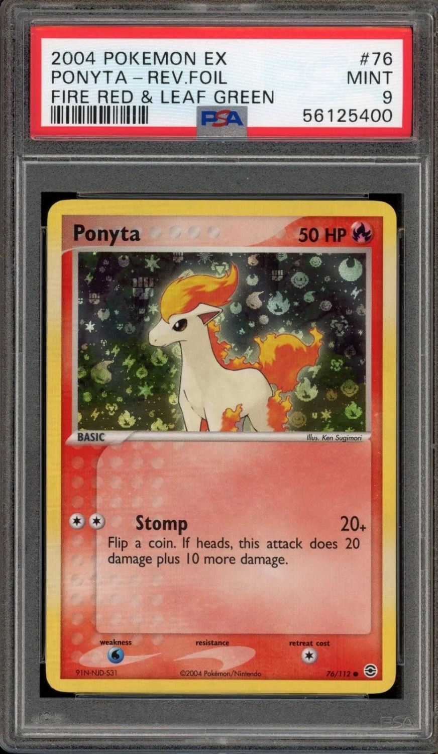 Ponyta