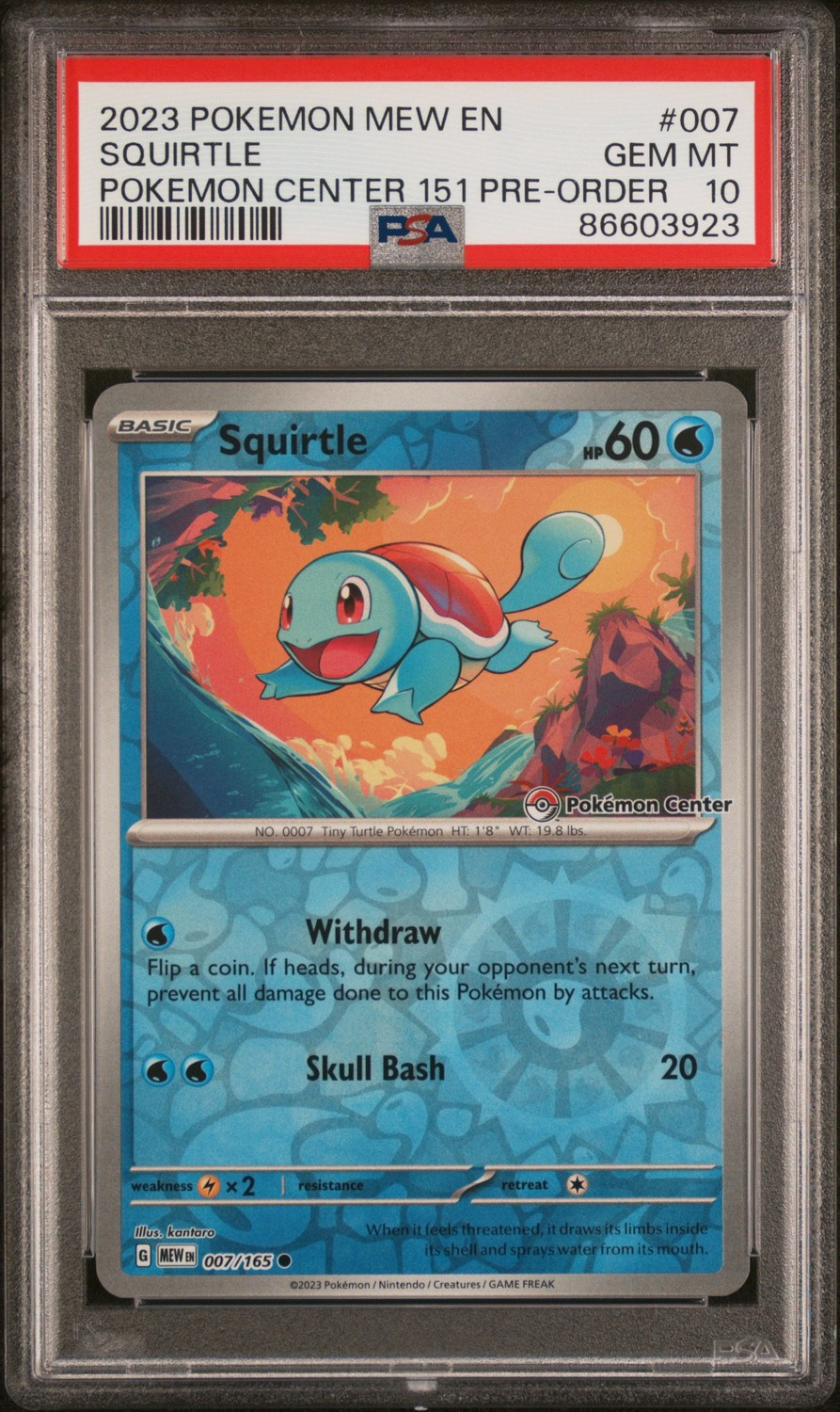 SQUIRTLE