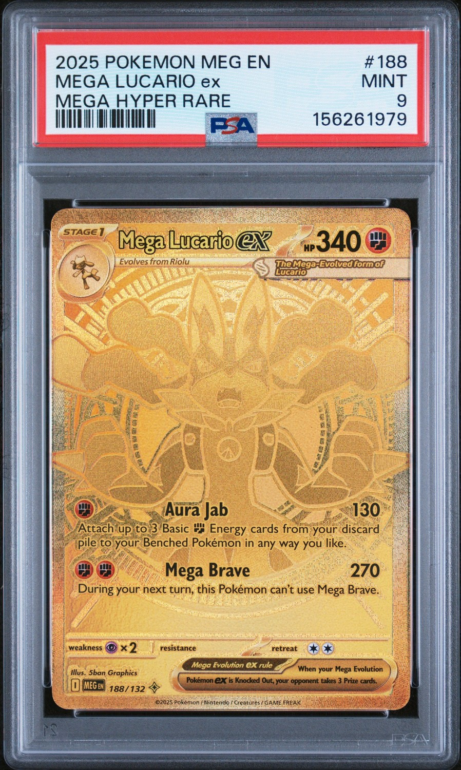 MEGA LUCARIO ex